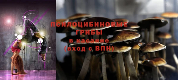 стафф Алзамай